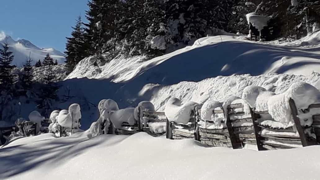 Apartment Jasmin Neustift im Stubaital Exteriér fotografie